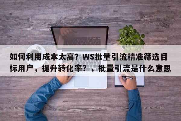 如何利用成本太高？WS批量引流精准筛选目标用户，提升转化率？，批量引流是什么意思