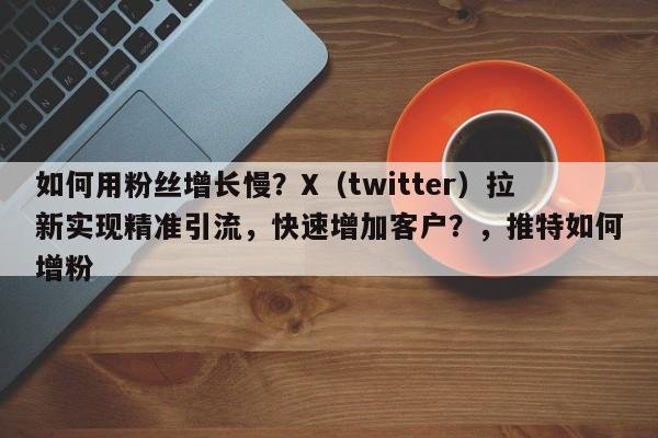 如何用粉丝增长慢？X（twitter）拉新实现精准引流，快速增加客户？，推特如何增粉