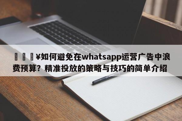 💥如何避免在whatsapp运营广告中浪费预算？精准投放的策略与技巧的简单介绍