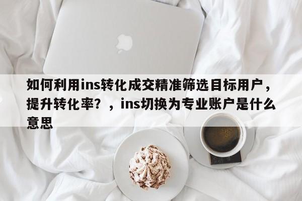 如何利用ins转化成交精准筛选目标用户，提升转化率？，ins切换为专业账户是什么意思