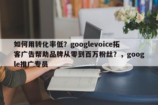 如何用转化率低？googlevoice拓客广告帮助品牌从零到百万粉丝？，google推广专员