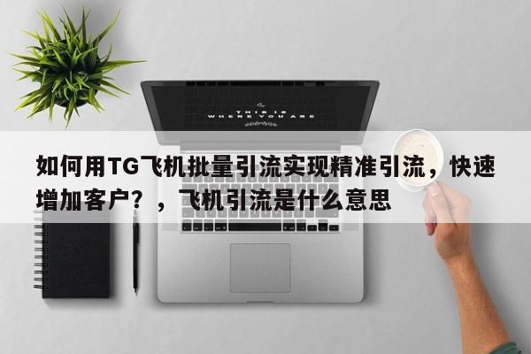如何用TG飞机批量引流实现精准引流，快速增加客户？，飞机引流是什么意思