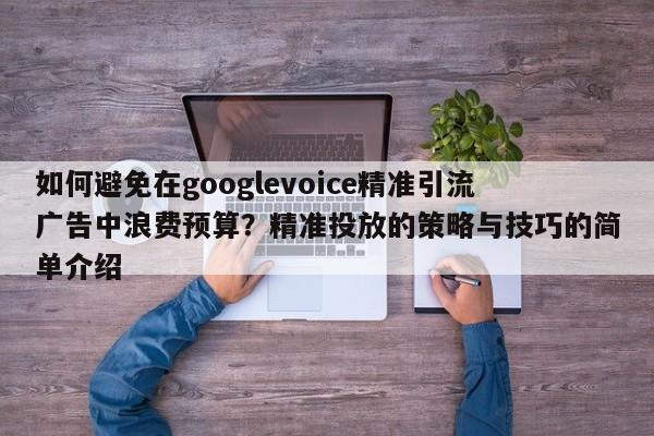 如何避免在googlevoice精准引流广告中浪费预算？精准投放的策略与技巧的简单介绍