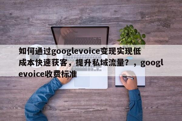 如何通过googlevoice变现实现低成本快速获客，提升私域流量？，googlevoice收费标准