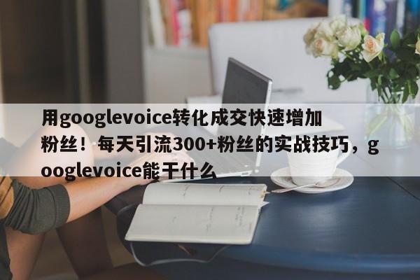 用googlevoice转化成交快速增加粉丝！每天引流300+粉丝的实战技巧，googlevoice能干什么