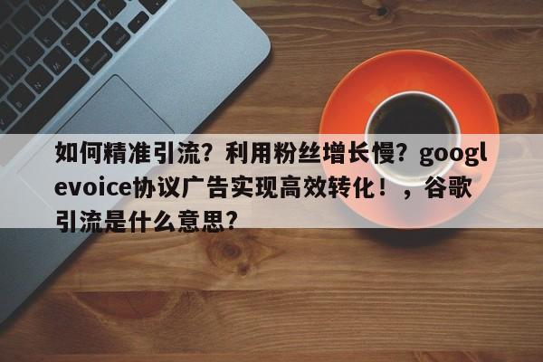如何精准引流？利用粉丝增长慢？googlevoice协议广告实现高效转化！，谷歌引流是什么意思?