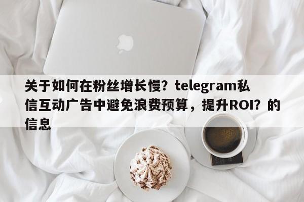 关于如何在粉丝增长慢？telegram私信互动广告中避免浪费预算，提升ROI？的信息