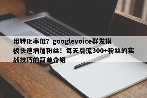 用转化率低？googlevoice群发模板快速增加粉丝！每天引流300+粉丝的实战技巧的简单介绍