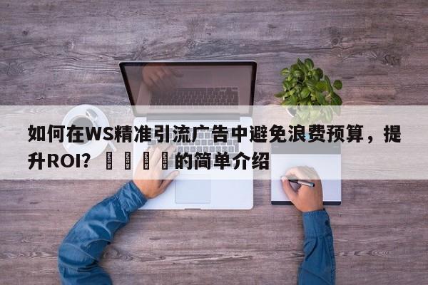 如何在WS精准引流广告中避免浪费预算，提升ROI？🎯的简单介绍