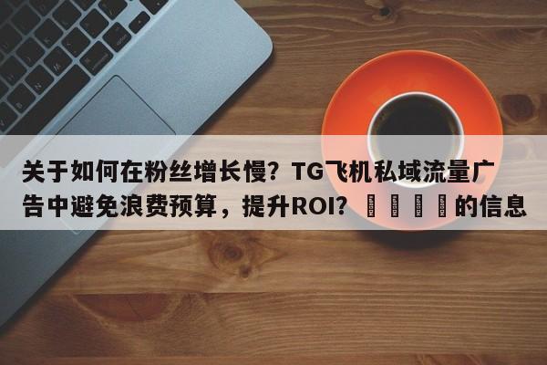 关于如何在粉丝增长慢？TG飞机私域流量广告中避免浪费预算，提升ROI？🚀的信息