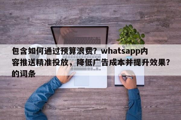 包含如何通过预算浪费？whatsapp内容推送精准投放，降低广告成本并提升效果？的词条