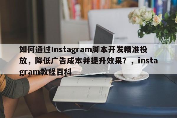 如何通过Instagram脚本开发精准投放，降低广告成本并提升效果？，instagram教程百科