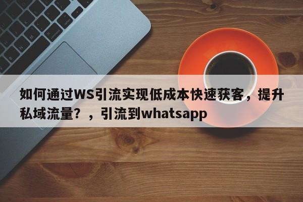 如何通过WS引流实现低成本快速获客，提升私域流量？，引流到whatsapp