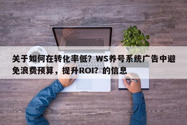 关于如何在转化率低？WS养号系统广告中避免浪费预算，提升ROI？的信息