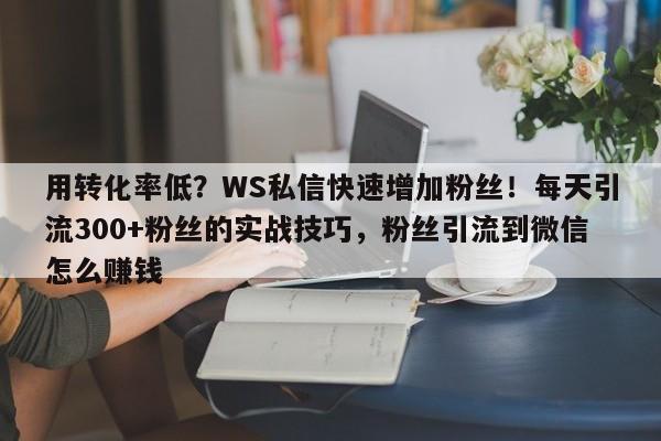 用转化率低？WS私信快速增加粉丝！每天引流300+粉丝的实战技巧，粉丝引流到微信怎么赚钱