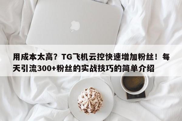 用成本太高？TG飞机云控快速增加粉丝！每天引流300+粉丝的实战技巧的简单介绍