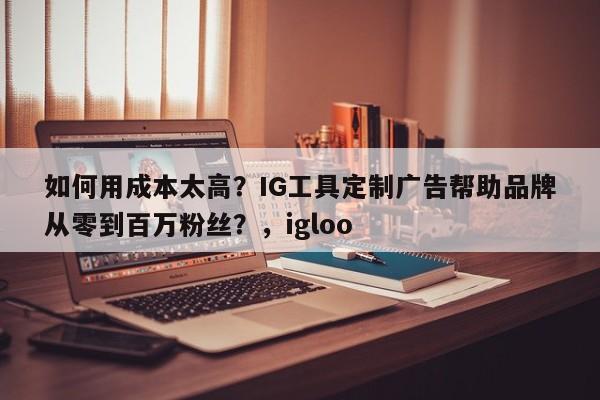如何用成本太高？IG工具定制广告帮助品牌从零到百万粉丝？，igloo