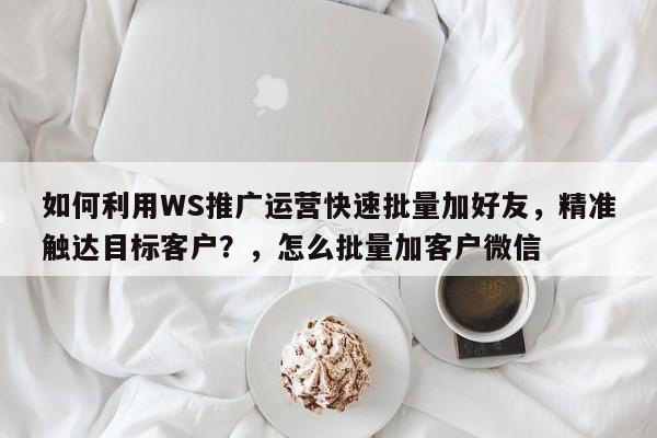 如何利用WS推广运营快速批量加好友，精准触达目标客户？，怎么批量加客户微信