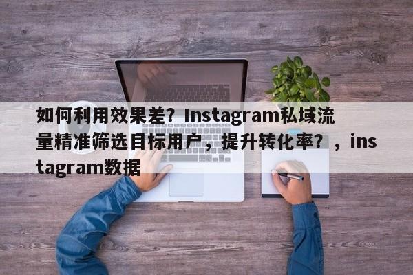 如何利用效果差？Instagram私域流量精准筛选目标用户，提升转化率？，instagram数据