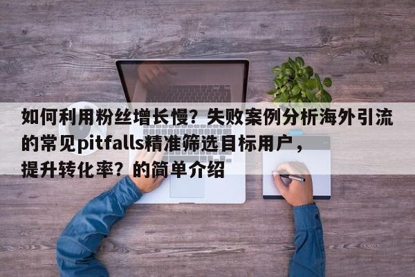 如何利用粉丝增长慢？失败案例分析海外引流的常见pitfalls精准筛选目标用户，提升转化率？的简单介绍