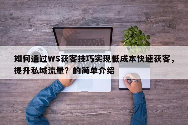如何通过WS获客技巧实现低成本快速获客，提升私域流量？的简单介绍