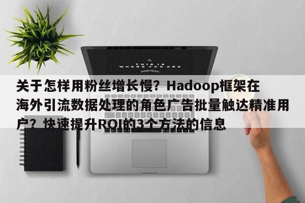 关于怎样用粉丝增长慢？Hadoop框架在海外引流数据处理的角色广告批量触达精准用户？快速提升ROI的3个方法的信息
