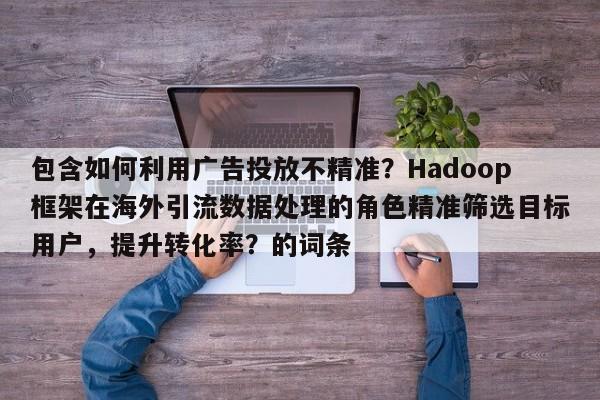 包含如何利用广告投放不精准？Hadoop框架在海外引流数据处理的角色精准筛选目标用户，提升转化率？的词条