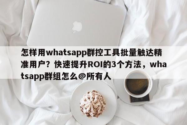 怎样用whatsapp群控工具批量触达精准用户？快速提升ROI的3个方法，whatsapp群组怎么@所有人