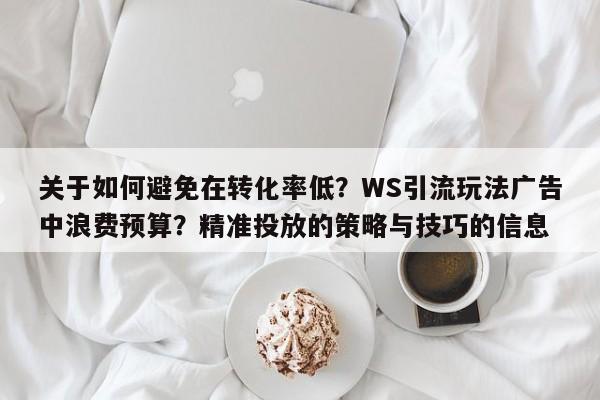 关于如何避免在转化率低？WS引流玩法广告中浪费预算？精准投放的策略与技巧的信息