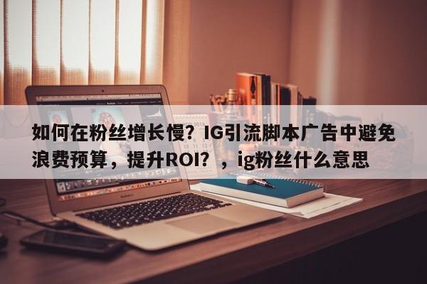 如何在粉丝增长慢？IG引流脚本广告中避免浪费预算，提升ROI？，ig粉丝什么意思