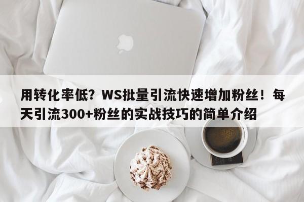 用转化率低？WS批量引流快速增加粉丝！每天引流300+粉丝的实战技巧的简单介绍