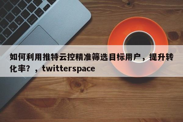如何利用推特云控精准筛选目标用户，提升转化率？，twitterspace