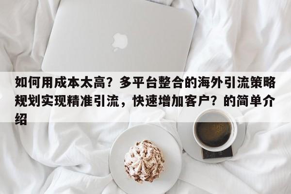 如何用成本太高？多平台整合的海外引流策略规划实现精准引流，快速增加客户？的简单介绍