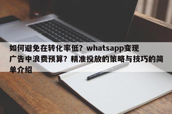 如何避免在转化率低？whatsapp变现广告中浪费预算？精准投放的策略与技巧的简单介绍