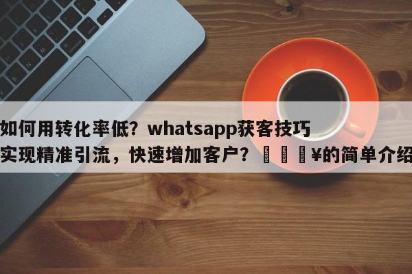 如何用转化率低？whatsapp获客技巧实现精准引流，快速增加客户？🔥的简单介绍