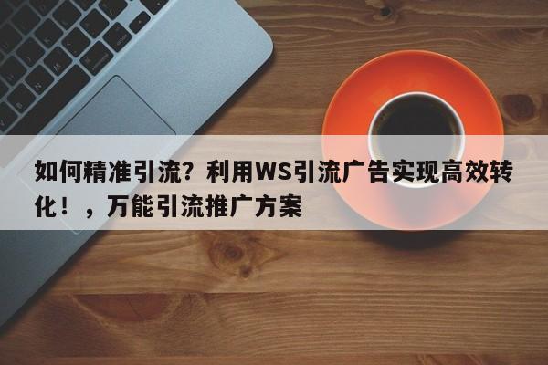 如何精准引流？利用WS引流广告实现高效转化！，万能引流推广方案