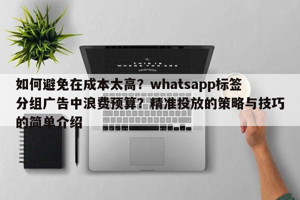 如何避免在成本太高？whatsapp标签分组广告中浪费预算？精准投放的策略与技巧的简单介绍