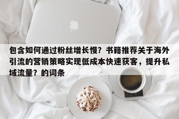 包含如何通过粉丝增长慢？书籍推荐关于海外引流的营销策略实现低成本快速获客，提升私域流量？的词条