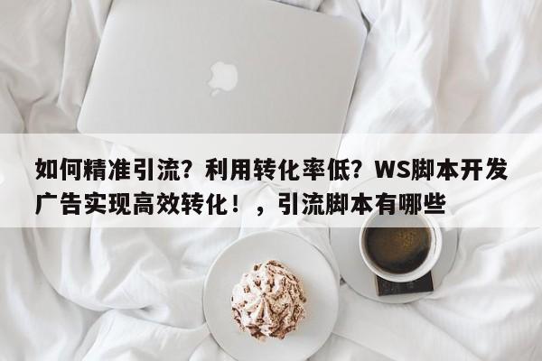 如何精准引流？利用转化率低？WS脚本开发广告实现高效转化！，引流脚本有哪些