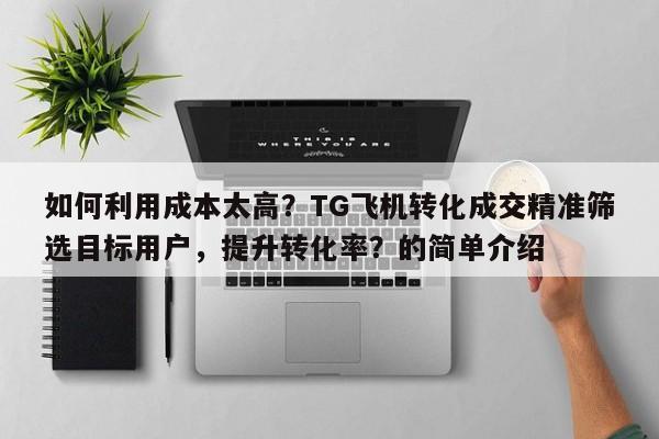如何利用成本太高？TG飞机转化成交精准筛选目标用户，提升转化率？的简单介绍