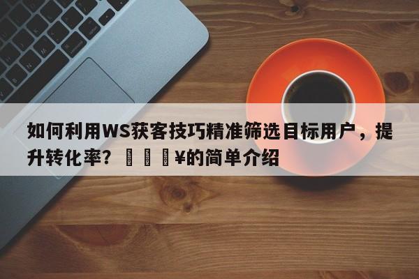 如何利用WS获客技巧精准筛选目标用户，提升转化率？🔥的简单介绍