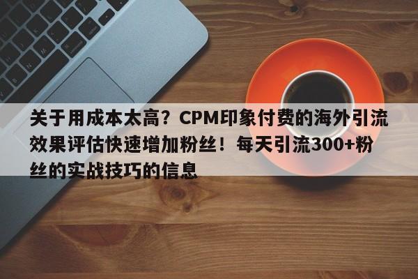 关于用成本太高？CPM印象付费的海外引流效果评估快速增加粉丝！每天引流300+粉丝的实战技巧的信息