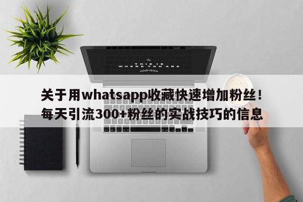 关于用whatsapp收藏快速增加粉丝！每天引流300+粉丝的实战技巧的信息