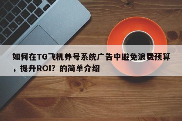 如何在TG飞机养号系统广告中避免浪费预算，提升ROI？的简单介绍