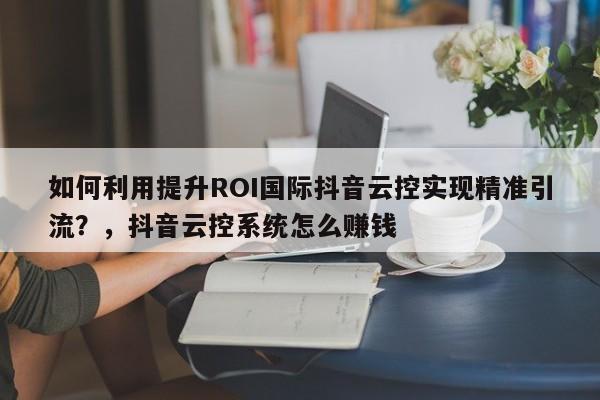 如何利用提升ROI国际抖音云控实现精准引流？，抖音云控系统怎么赚钱