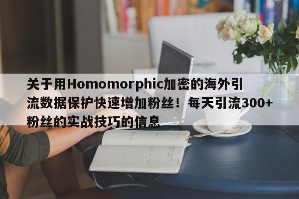 关于用Homomorphic加密的海外引流数据保护快速增加粉丝！每天引流300+粉丝的实战技巧的信息