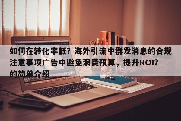 如何在转化率低？海外引流中群发消息的合规注意事项广告中避免浪费预算，提升ROI？的简单介绍
