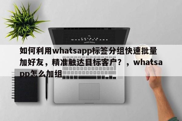 如何利用whatsapp标签分组快速批量加好友，精准触达目标客户？，whatsapp怎么加组
