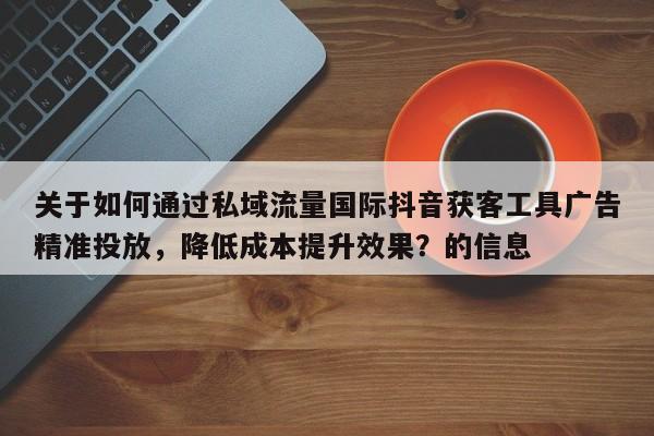 关于如何通过私域流量国际抖音获客工具广告精准投放，降低成本提升效果？的信息