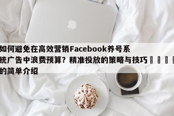 如何避免在高效营销Facebook养号系统广告中浪费预算？精准投放的策略与技巧📈的简单介绍